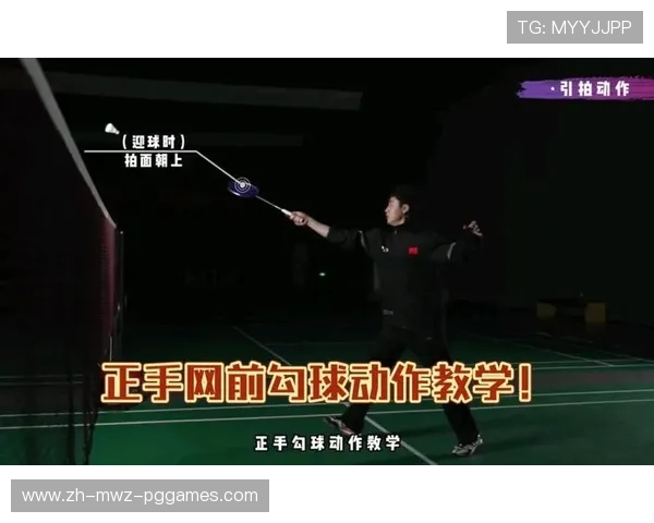 羽毛球接网前球 羽毛球接网前球